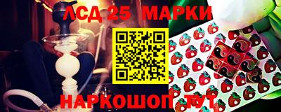 гидра Кимры