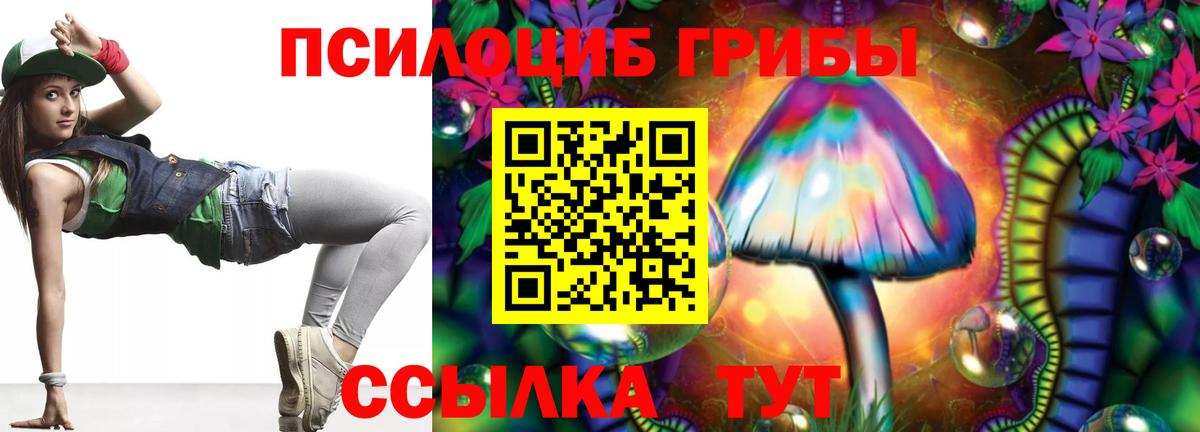 Псилоцибиновые грибы Psilocybine cubensis Красноармейск